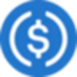 Polygon Bridged USDC (Polygon PoS) logo