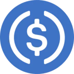 Wormhole Bridged USDC (Fantom) logo