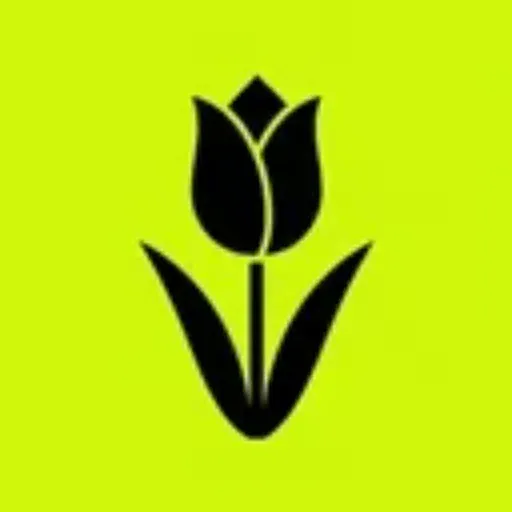 First Ever Memestock logo