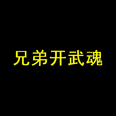兄弟开武魂 logo