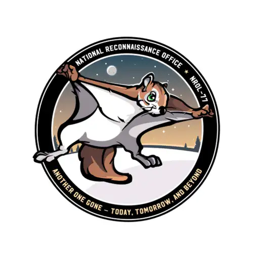 Rocky The Squirrel logo