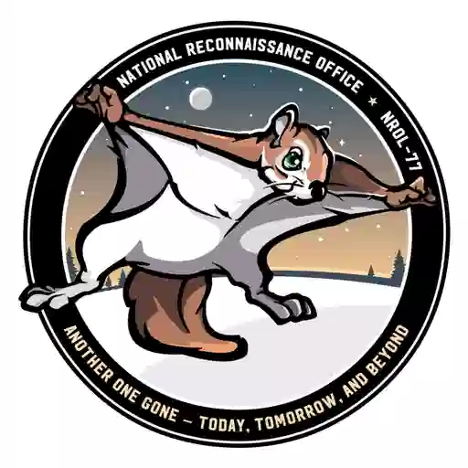 The Flying Squirrel logo