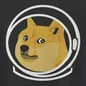 DOGE-1 logo