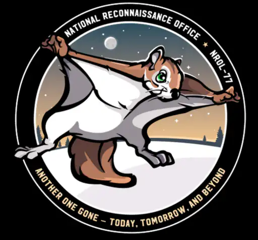 Rocky The Flying Squirrel  logo