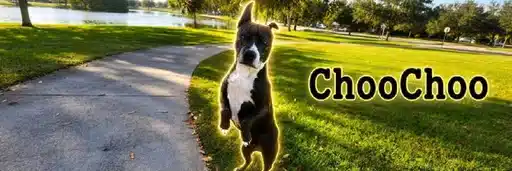 CHOOCHOO